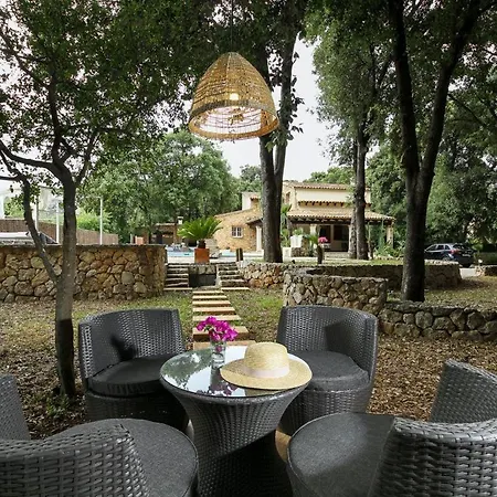 Aromo فيلة *